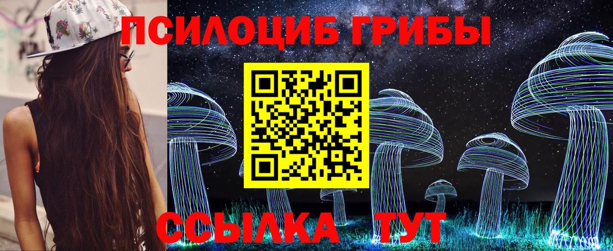 Галлюциногенные грибы Cubensis  купить  цена  Электросталь  Вход с VPN 
